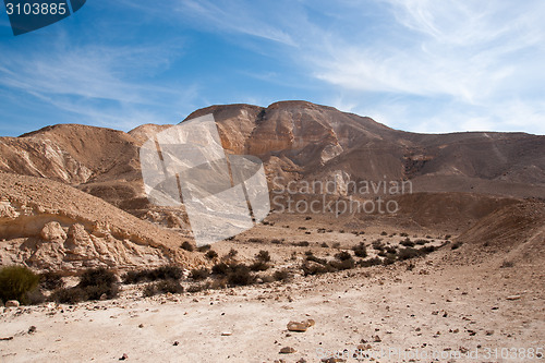 Image of Travel in Negev desert, Israel