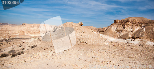 Image of Travel in Negev desert, Israel
