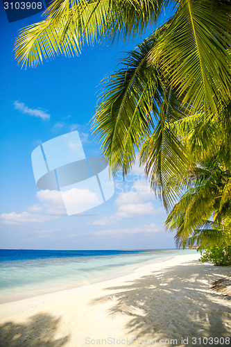 Image of Maldives beach