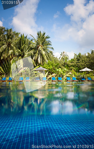 Image of Tropical swimming pool