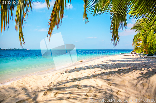 Image of Maldives beach