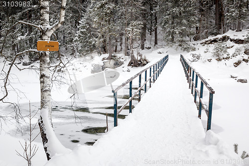 Image of Eibsee winter