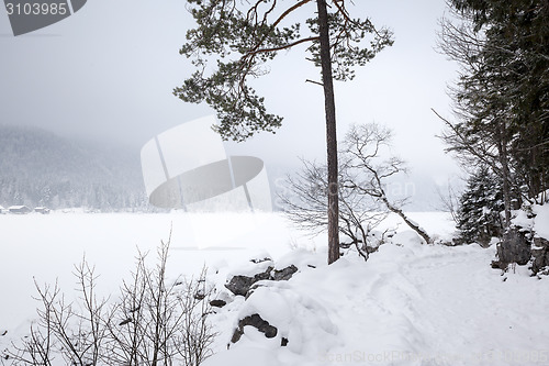 Image of Eibsee winter