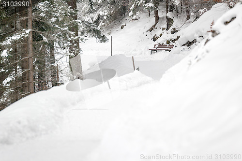 Image of bench and snow