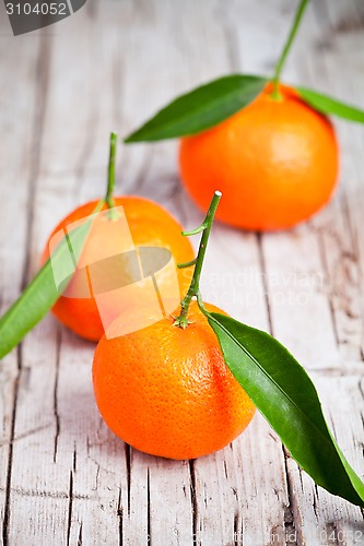 Image of fresh tangerines with leaves