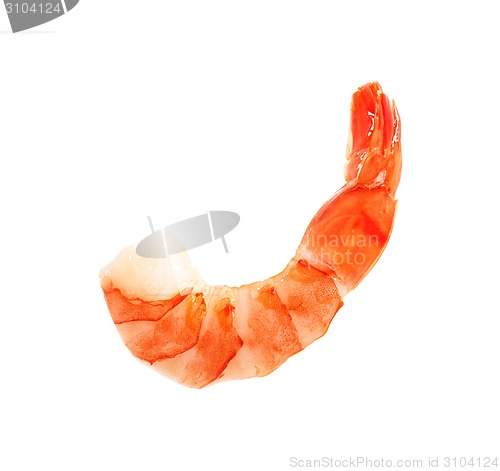 Image of Closeup view of shrimp isolated