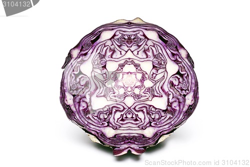 Image of red cabbage 