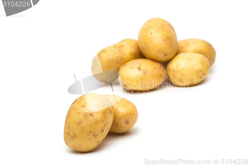 Image of potato isolated on white background close up