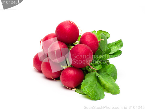 Image of Fresh red radish isolated on white background