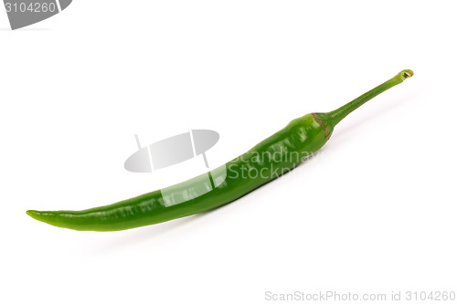 Image of Chili pepper isolated on white background