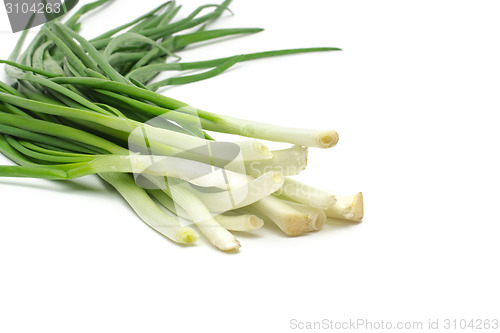 Image of Eight ripe, beautiful spring onions