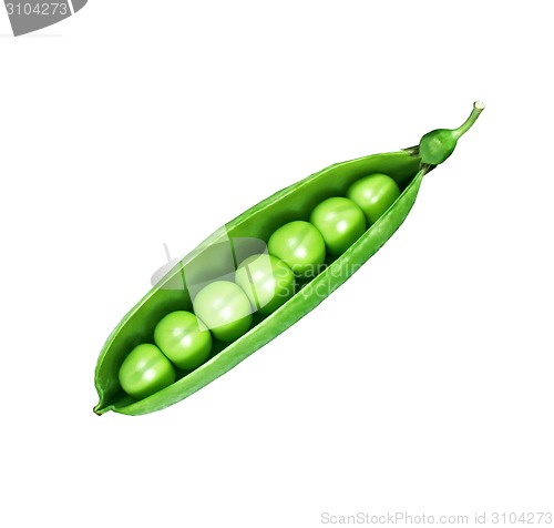 Image of peas isolated