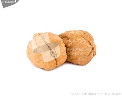 Image of Walnut brown nut closeup on white background