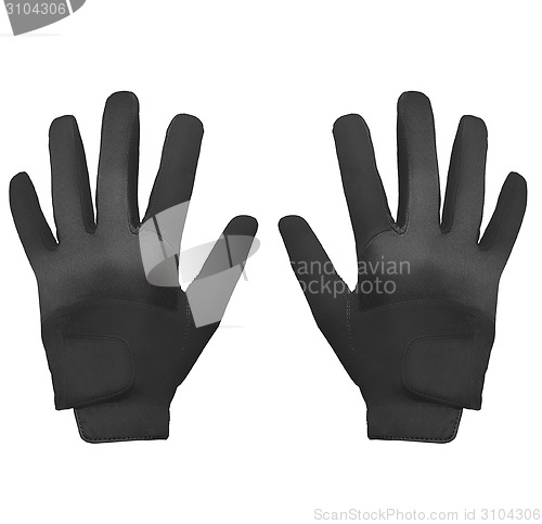 Image of Sport glove on white background