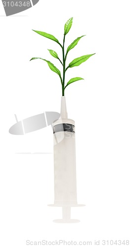 Image of syringe with a small tree - concept