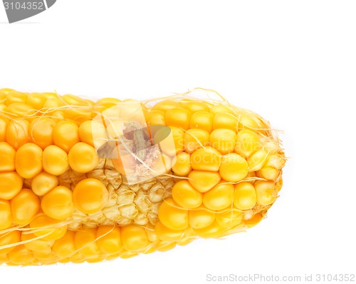 Image of worm eating the corn
