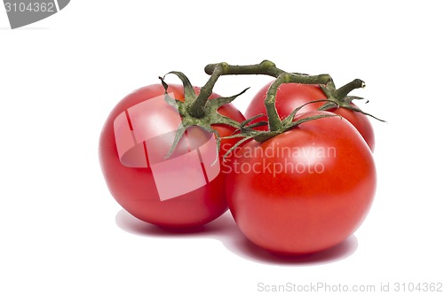 Image of Plum tomatoes with leaves on white background