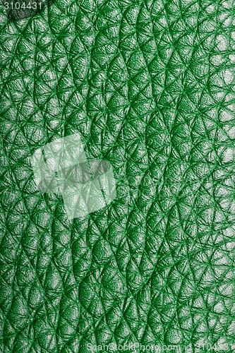 Image of green leather