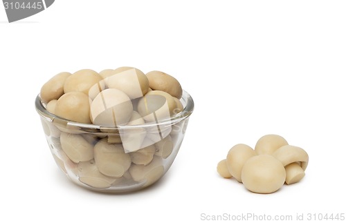 Image of small dish of tasty canned sliced mushrooms.