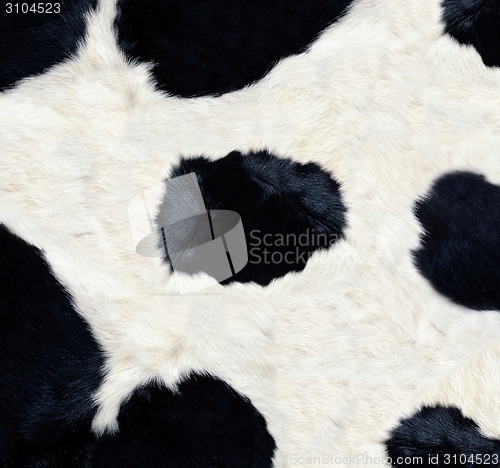 Image of Cow skin texture