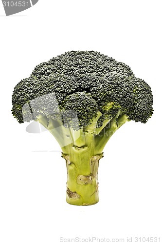 Image of Broccoli isolated 