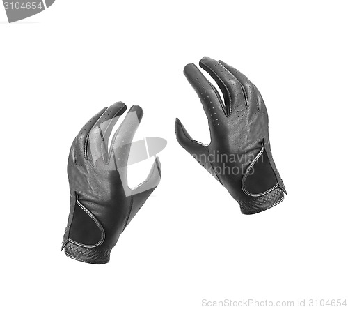 Image of Leather motorcycle gloves with carbon fiber protection