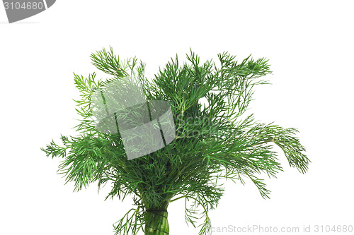 Image of Fresh dill