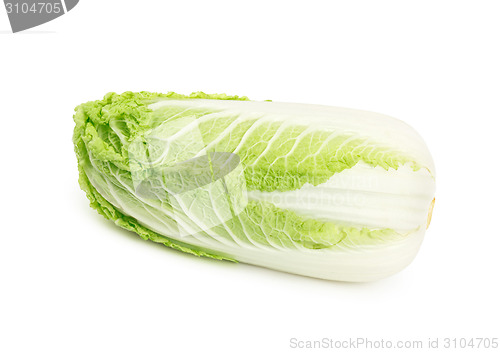 Image of Romain Lettuce isolated on a white background