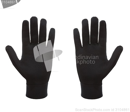 Image of black polar gloves isolated