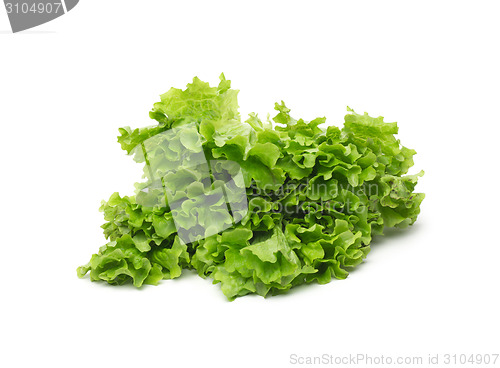 Image of Selection of fresh mixed green salad leaves