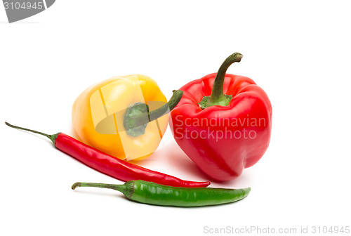 Image of Chili and bulgarina pepper isolated