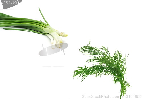 Image of Fresh dill with spring onions