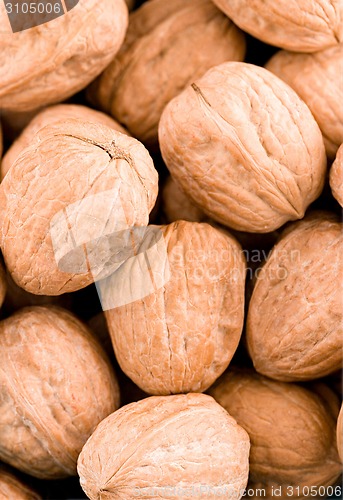 Image of Walnuts closeup