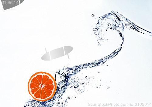 Image of grapefruit in spray of water