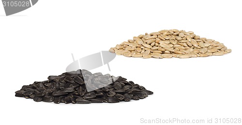 Image of piles of sunflower seeds isolated