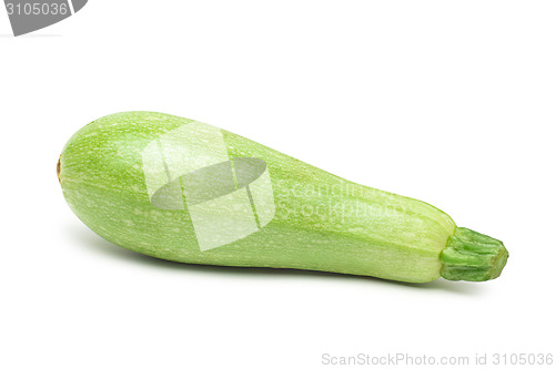 Image of Fresh marrow vegetable