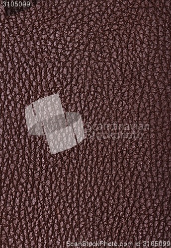 Image of Natural qualitative brown leather texture