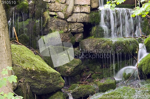 Image of Stream in the Green