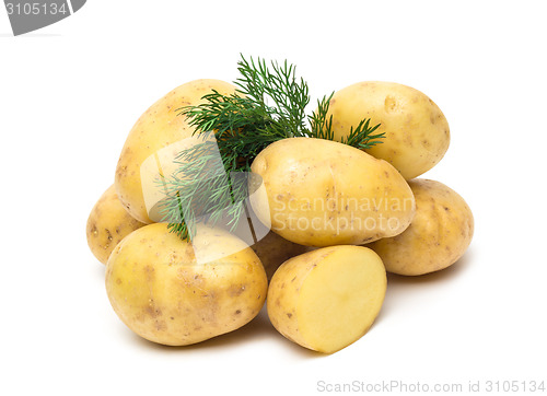 Image of potato isolated on white background close up