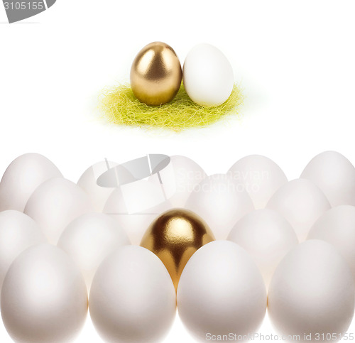 Image of gold with white eggs