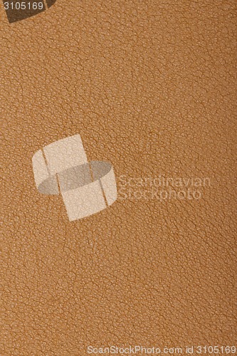 Image of Skin texture background