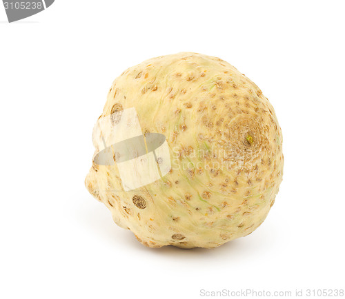 Image of Celery root isolated on white background.