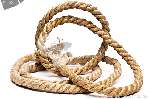 Image of ship rope and knot isolated