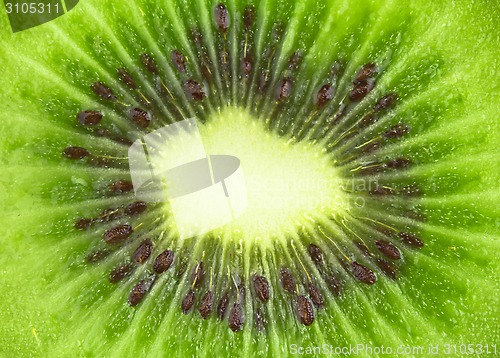 Image of kiwi background