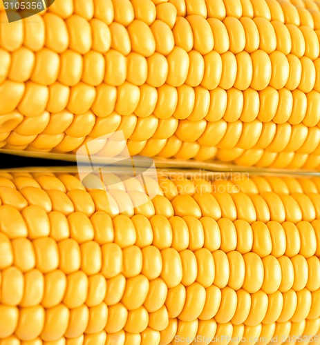 Image of close-up corn