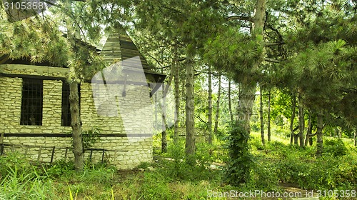 Image of Old Medieval Castle in nature