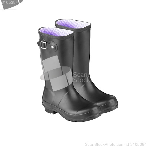 Image of Gum Boot isolated against a white background