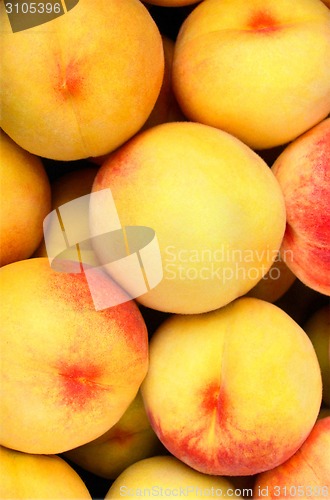 Image of Fresh natural apricot background