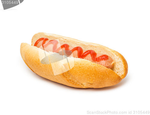 Image of hot dog over white background