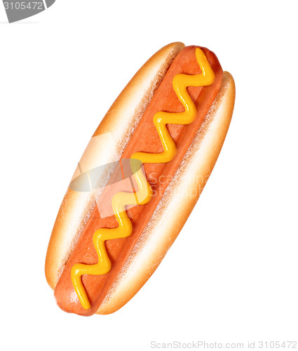 Image of hot dog on white background